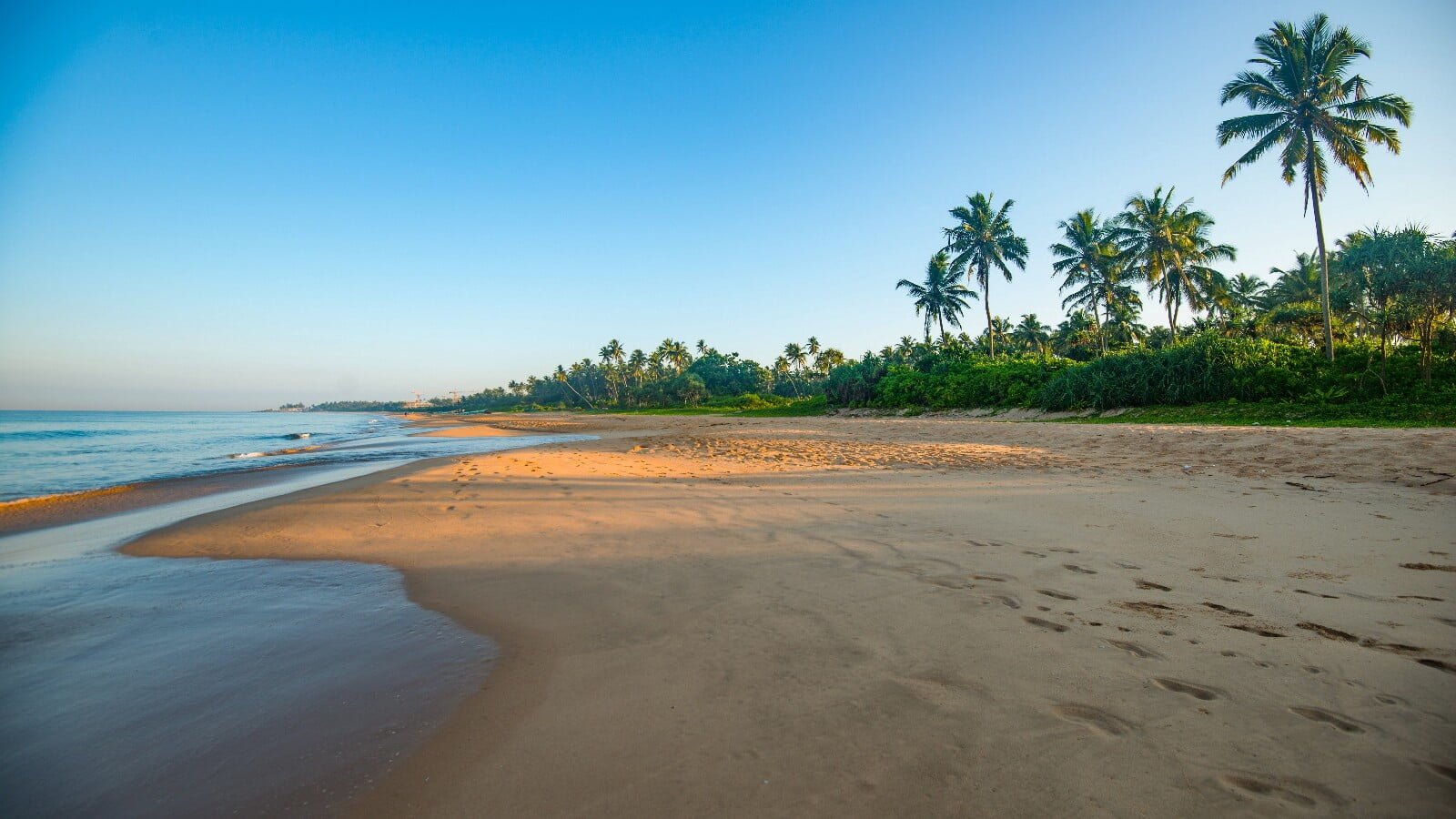 1600x900-878262-Bentota-Beach-Sri-Lanka-Coast-Sea-Palms-Beach