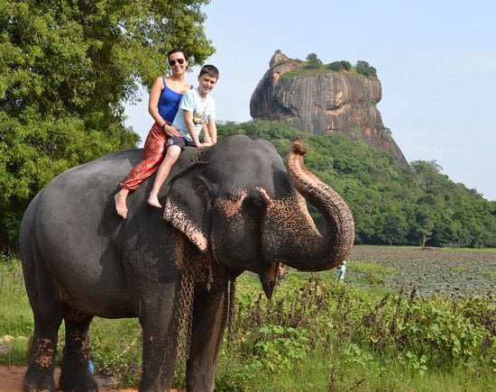 elephant-back-riding