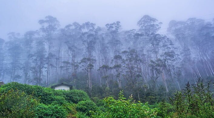 nuwara-eliya-sri-lanka-wallpaper-preview