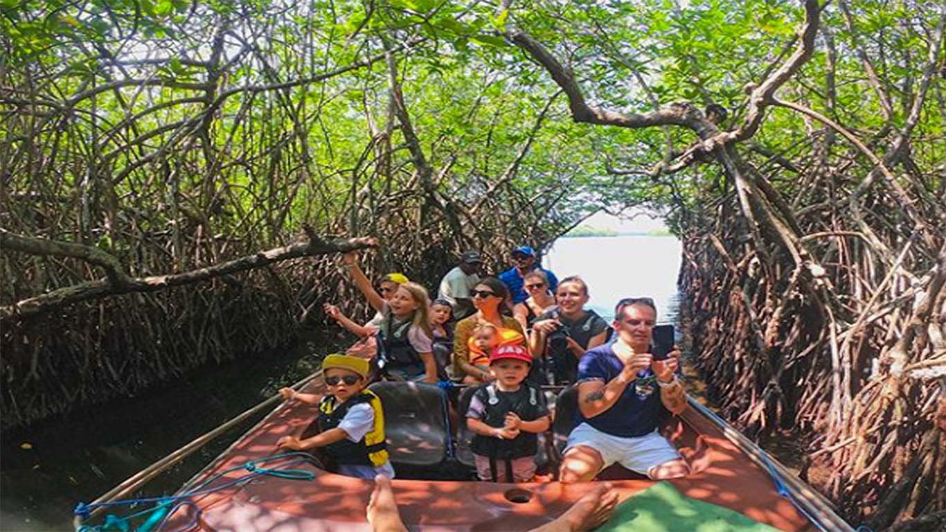 Madu-River-Boat-Safari