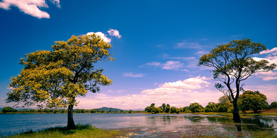 parakrama-1